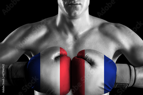 Black and white fighter with France color gloves