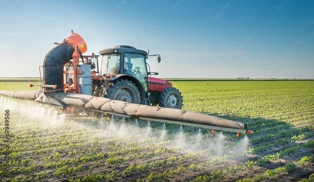 Fototapeta premium tractor spraying pesticides