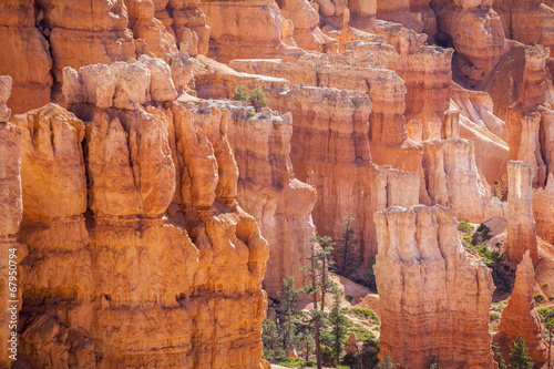 Bryce Canyon National Park in Utah, USA