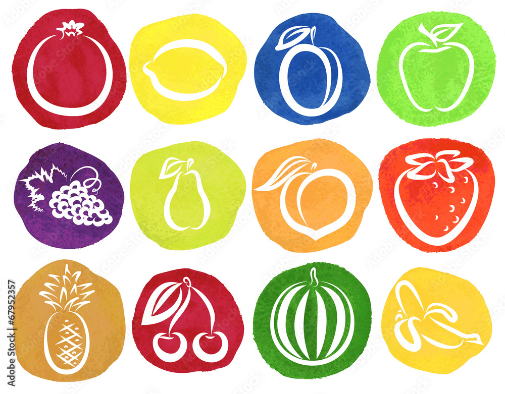 watercolor sketch of fruits watercolor sketch of fruits