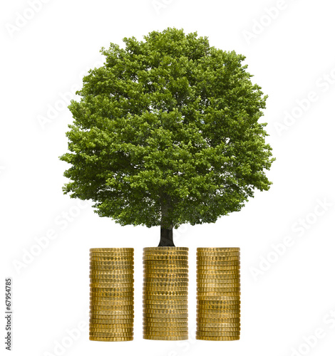 Baum auf Münzstapel