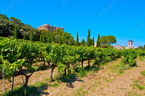 VIGNES ECOLE DU VIN DRÖME