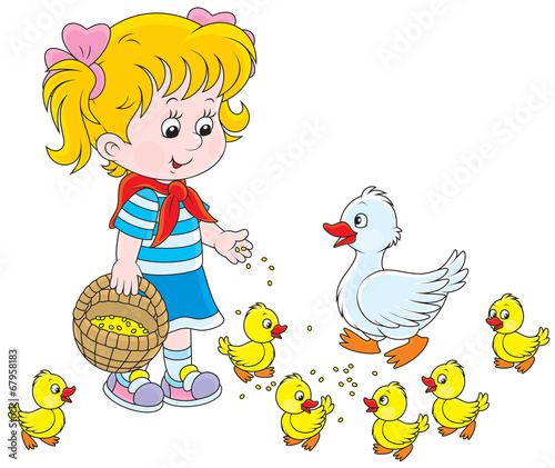 Little girl feeding a duck and ducklings