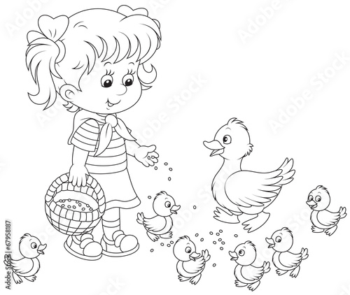 Girl feeding ducklings