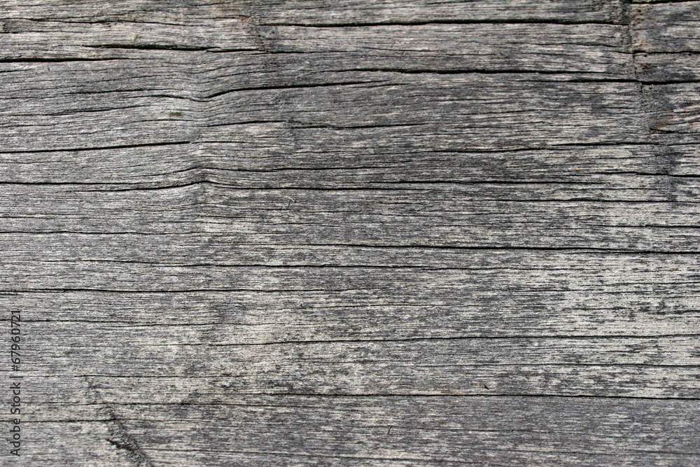 Fototapeta premium wood floor