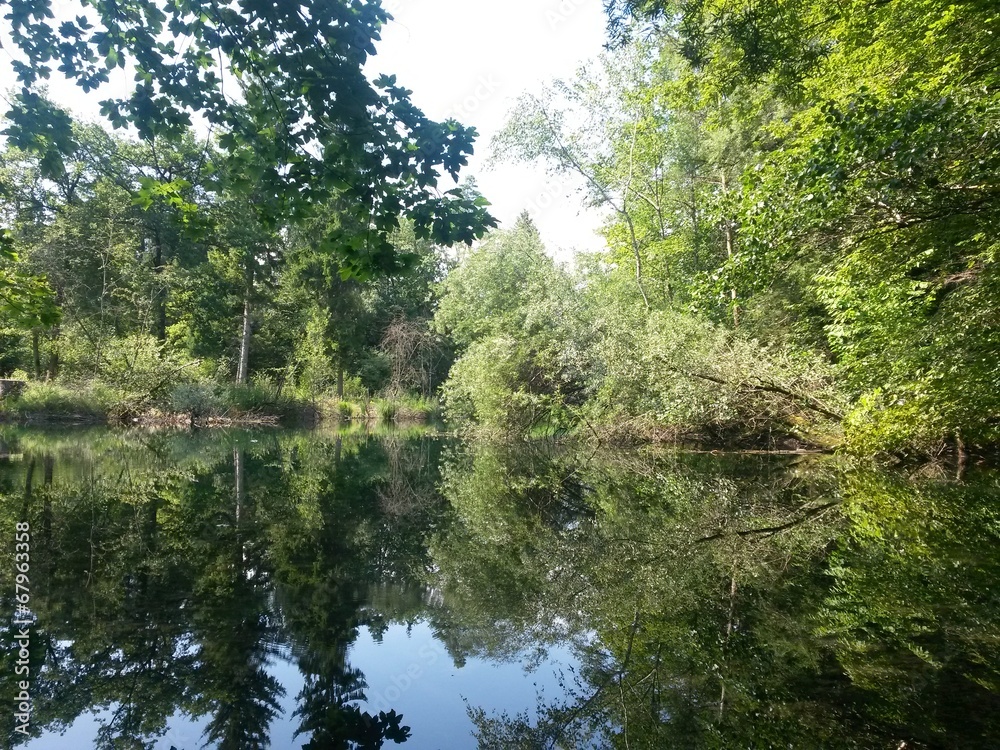 Fototapeta premium aare bei belp schweiz