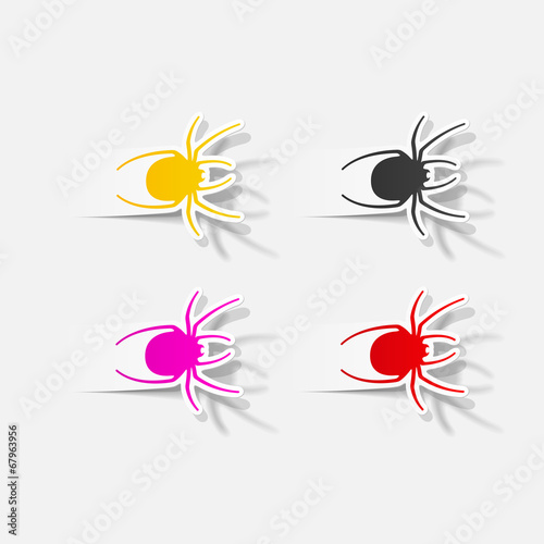 realistic design element: spider