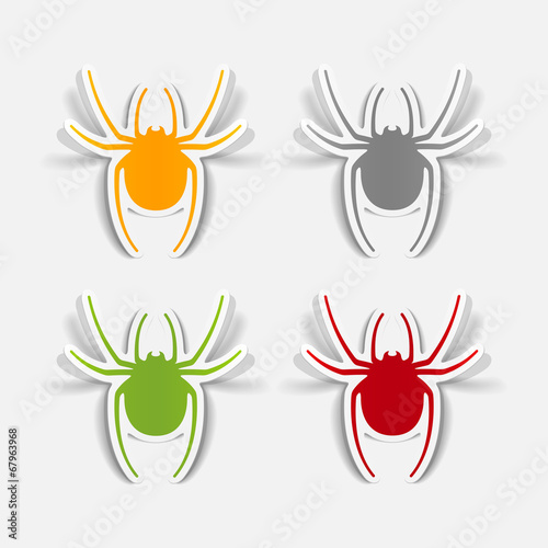 realistic design element: spider