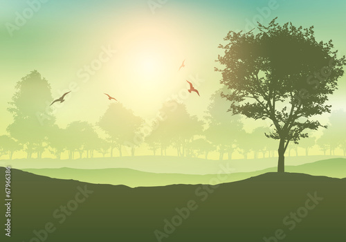 Tree landscape