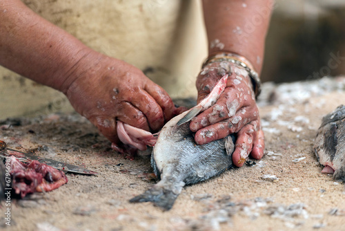 Fresh fish being cleaned photo