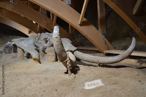 Mammoth Skeleton, Serbia, Viminacium