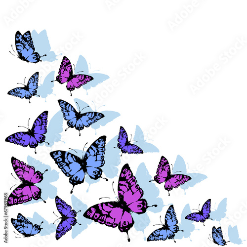 butterflies design