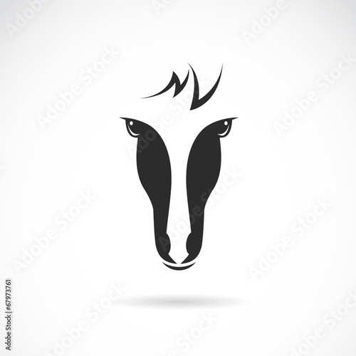 Vector image of an horse face