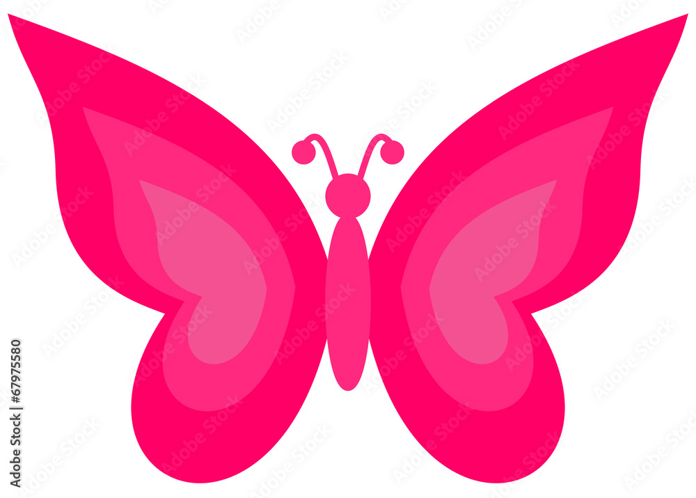 a pink butterfly