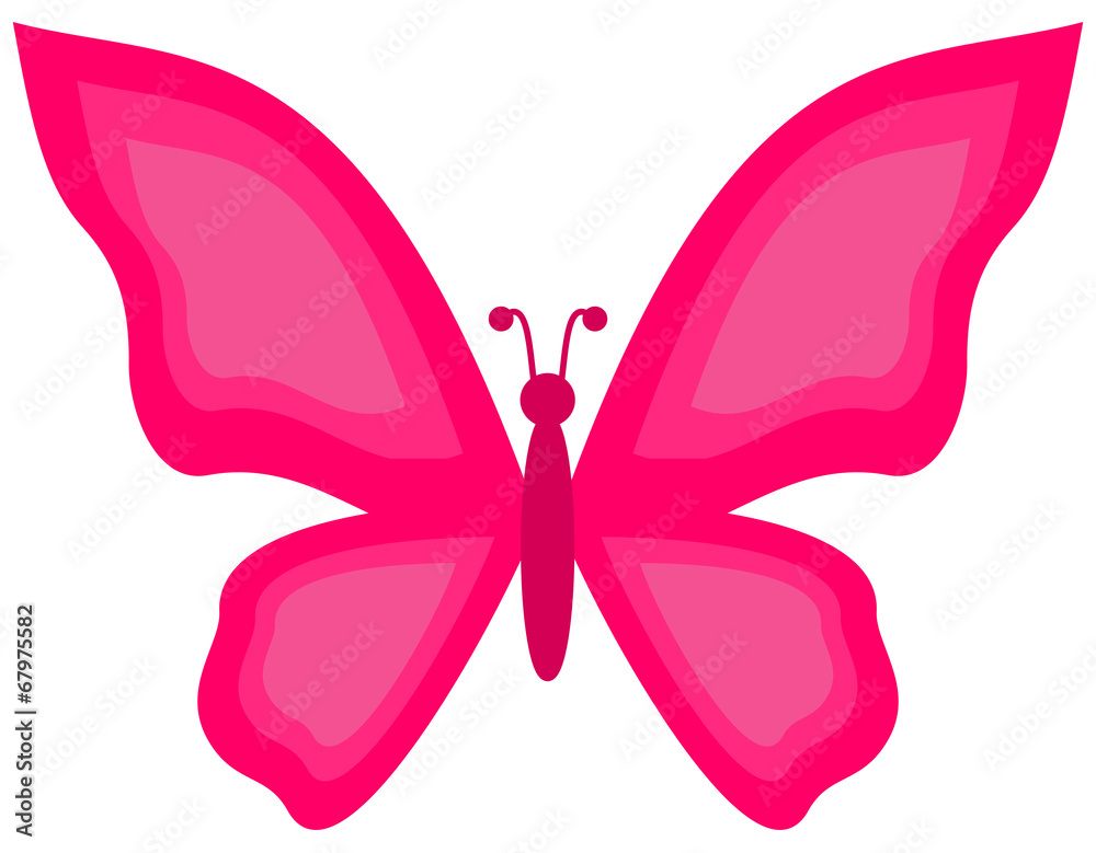 a pink butterfly a pink butterfly