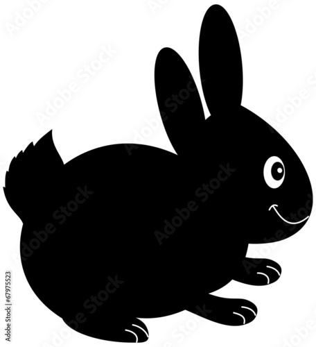 a plush rabbit in shadow