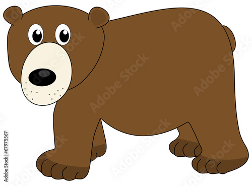 a surprised bear