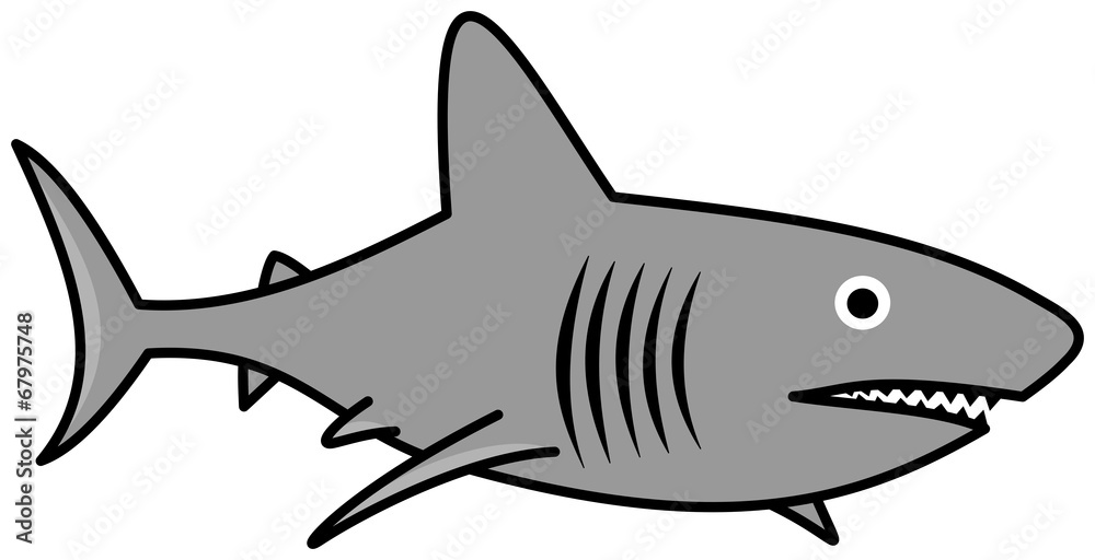 Obraz premium a gray shark swimming