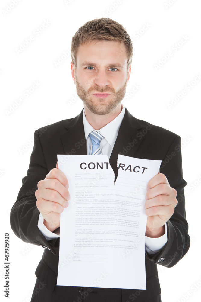 Angry Businessman Tearing Contract Paper Angry Businessman Tearing Contract Paper