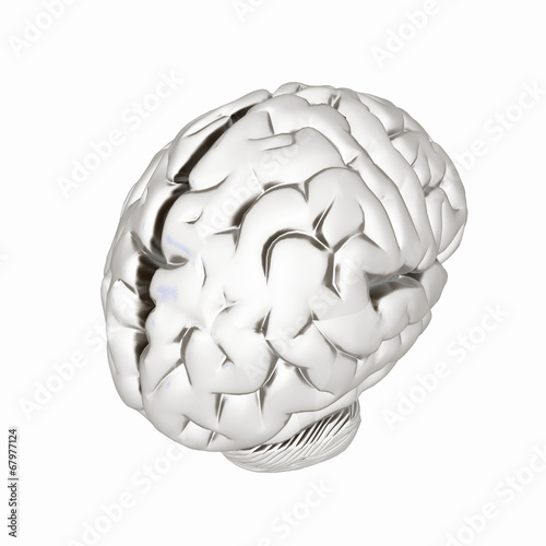 Metall human brain