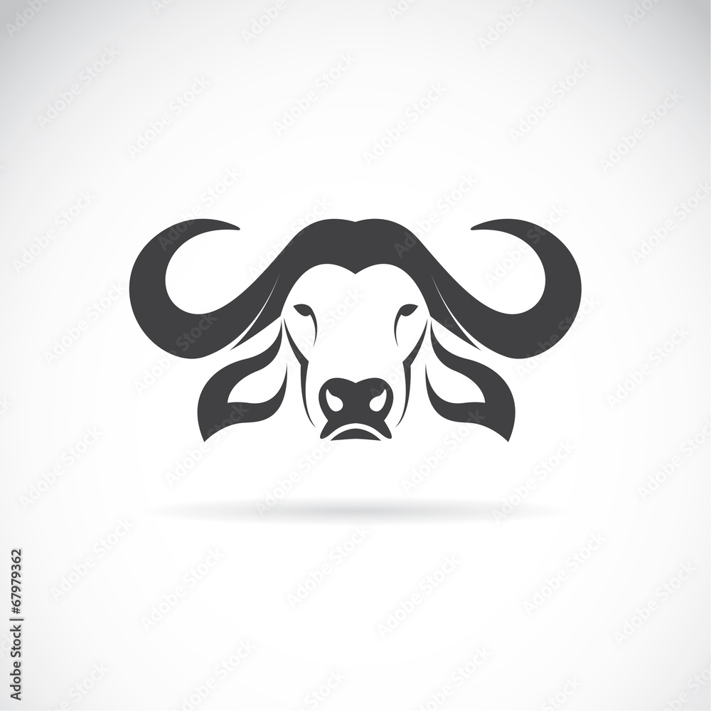 Fototapeta premium Vector of a buffalo head on white background. Easy editable layered vector illustration. Wild Animals.