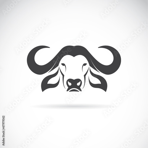 Vector of a buffalo head on white background. Easy editable layered vector illustration. Wild Animals.