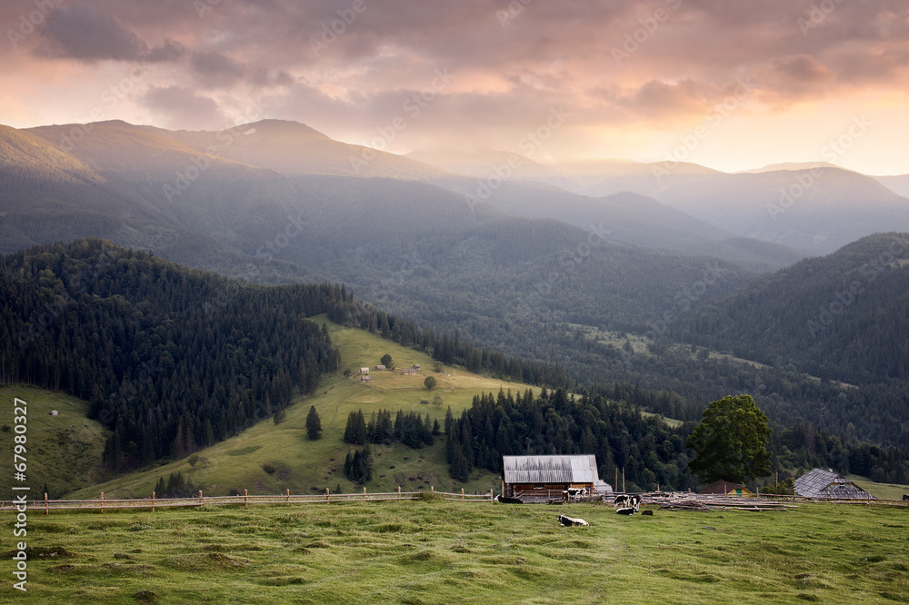 Carpathian mountains rural landscape