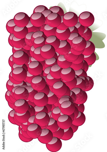 Fruta