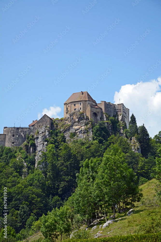 Château de Joux, La Cluse-et-Mijoux