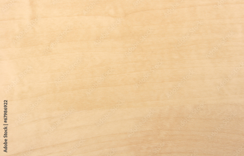 Obraz premium Maple background.