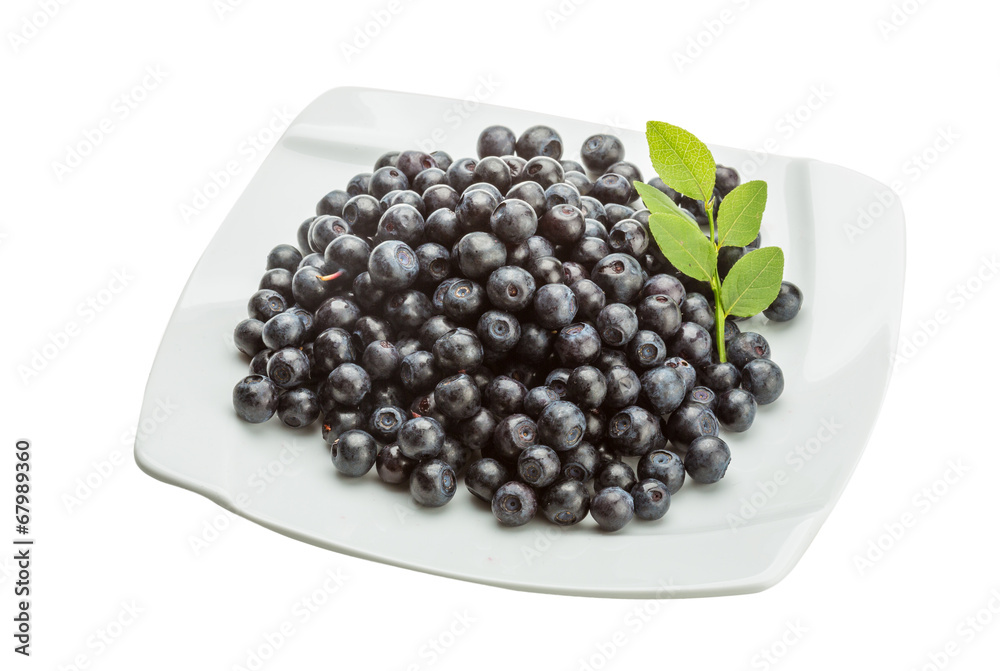 Blueberry Blueberry