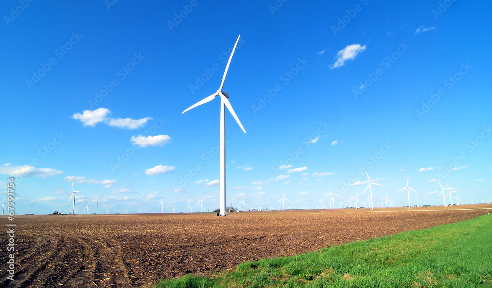 Wind Field Wind Field