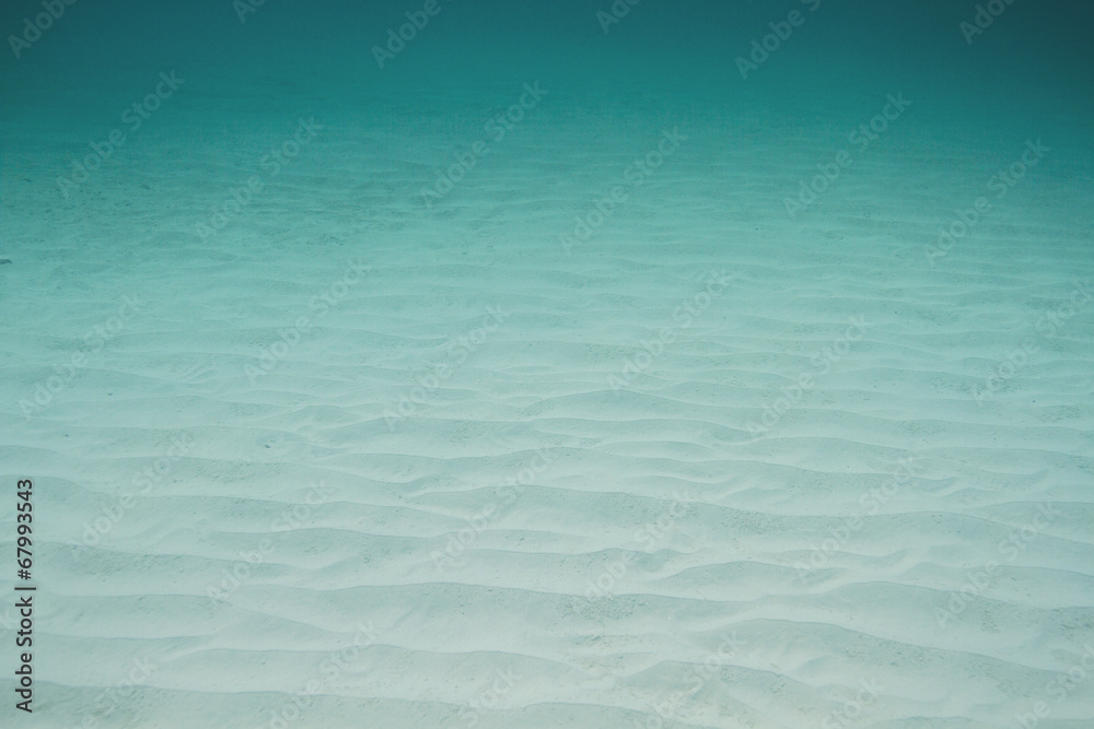 Obraz premium Ocean bottom