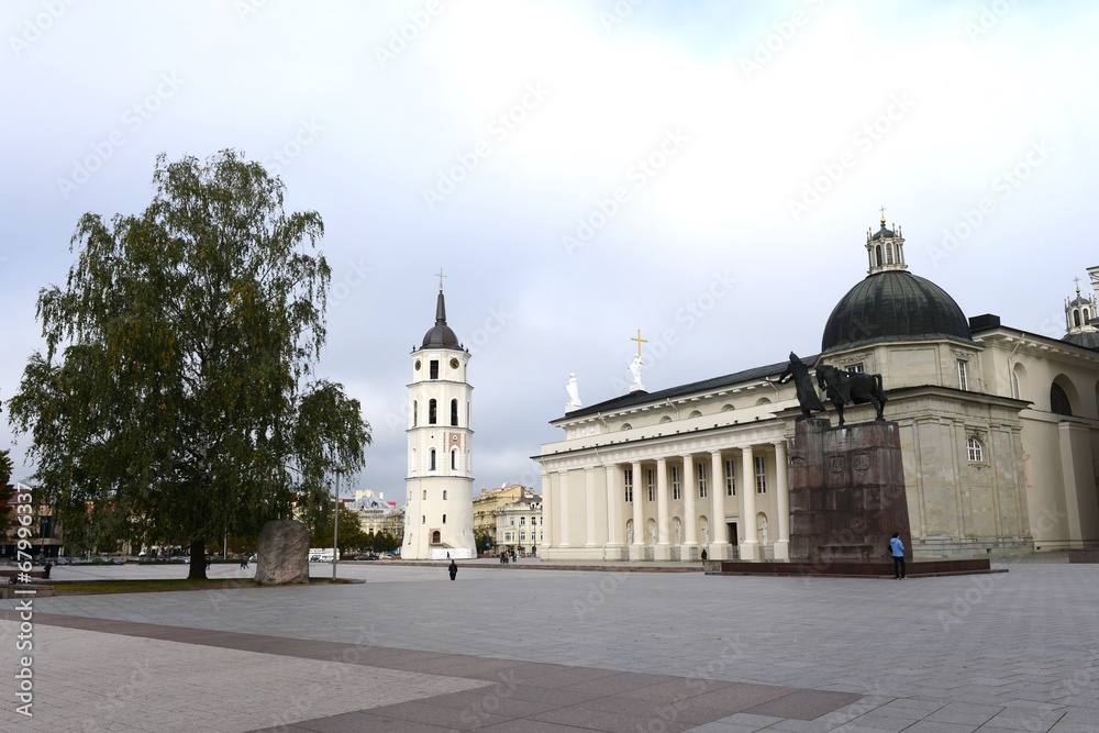 The Cathedral of Vilnius and St. Vladislav