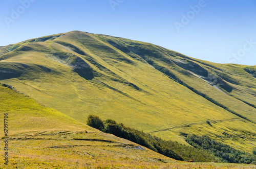 Cima ondulata