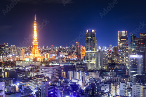 Tokyo  Japan Skyline