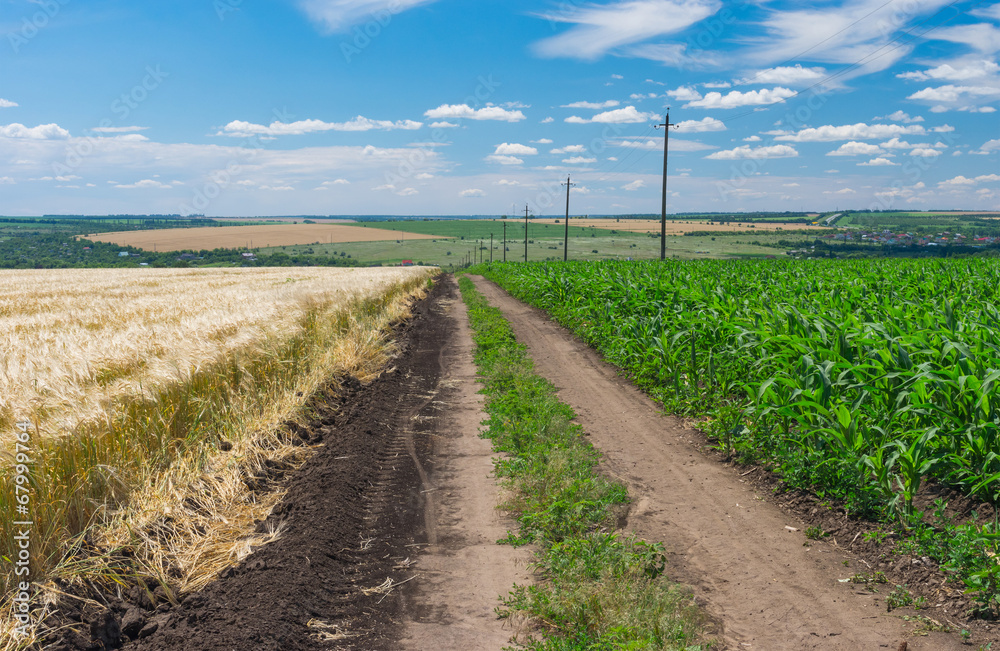 Rural road among agricultural fields in Ukraine Rural road among agricultural fields in Ukraine