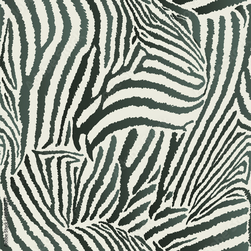 Animal Zebra Seamless Background