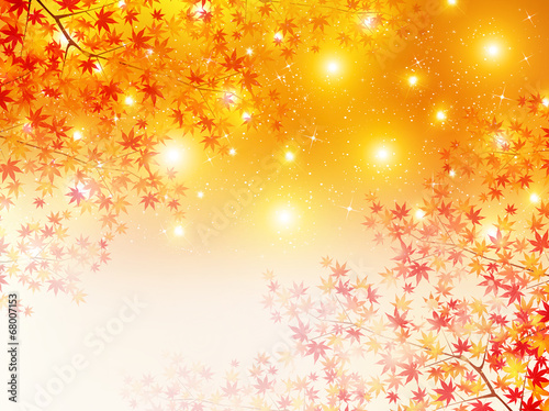 もみじ　紅葉　背景