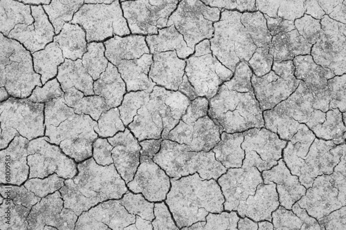 cracked soil