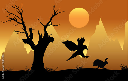 Hawk hunting hare at sunset silhouette