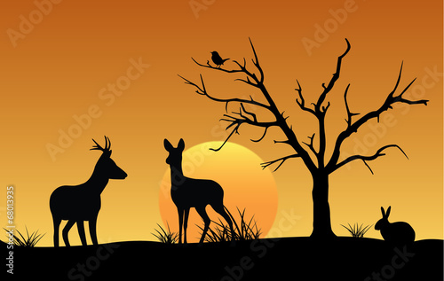 Deer, hare, bird, sunset silhouette
