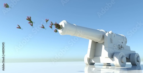 Cannone spara fiori 2