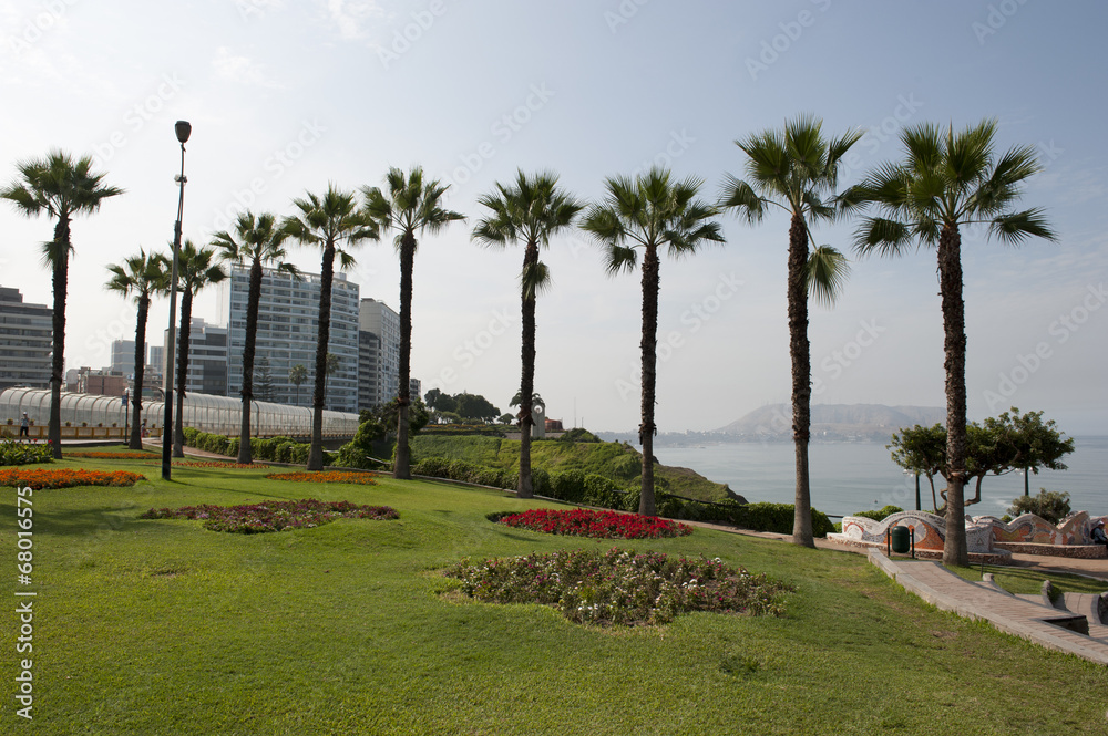 A view of the palm trees and the pacific ocean in Lima Peru.