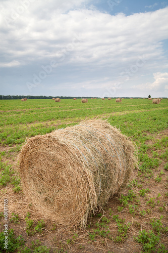 Round bales of straw on green field