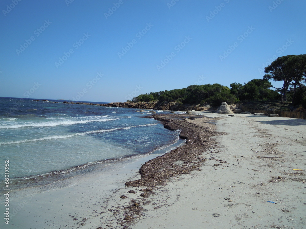 Plage de Palombaggia en Corse