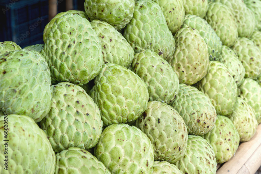 Fototapeta premium custard apple