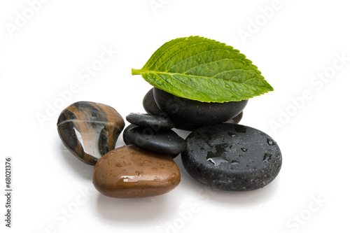 Canvas Print pebbles and green leaf