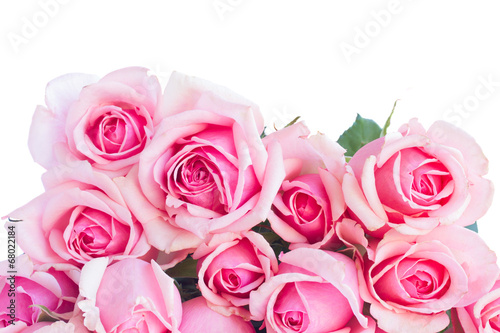 bouquet of fresh pink roses close up