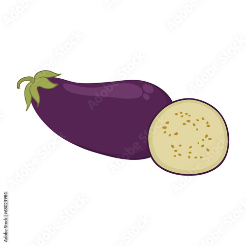 eggplant vector